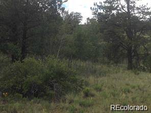 1681 Athapascan RD, Hartsel, CO 80449