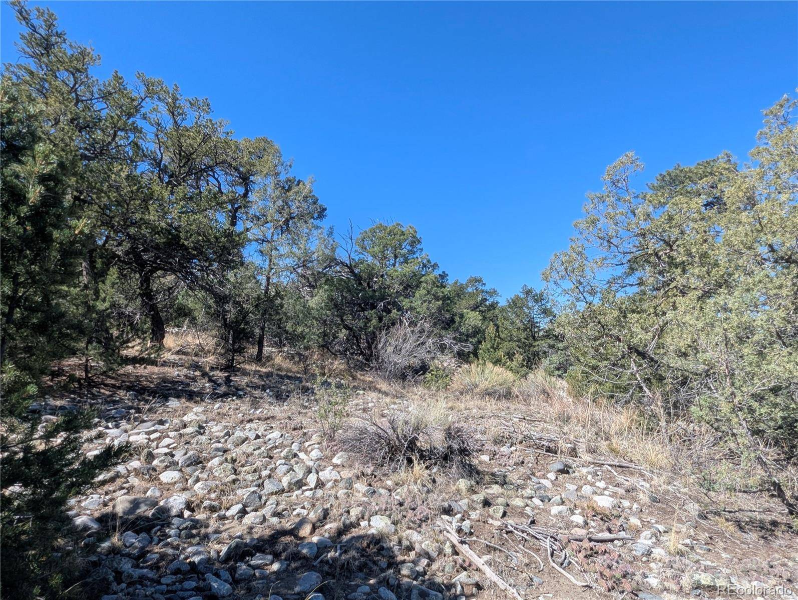 200 Mill Run RD, Mosca, CO 81146
