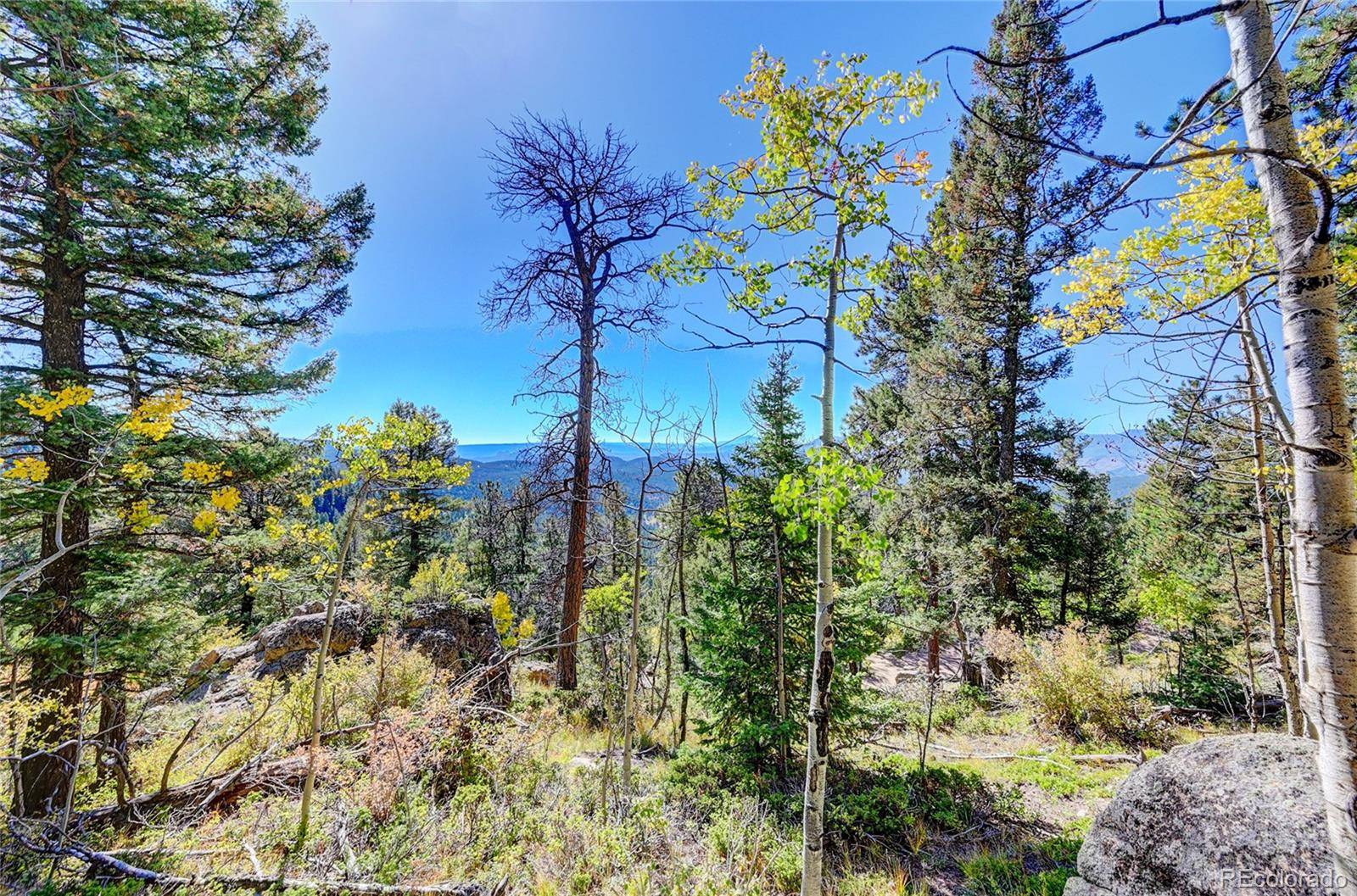 11723 Braun WAY, Conifer, CO 80433