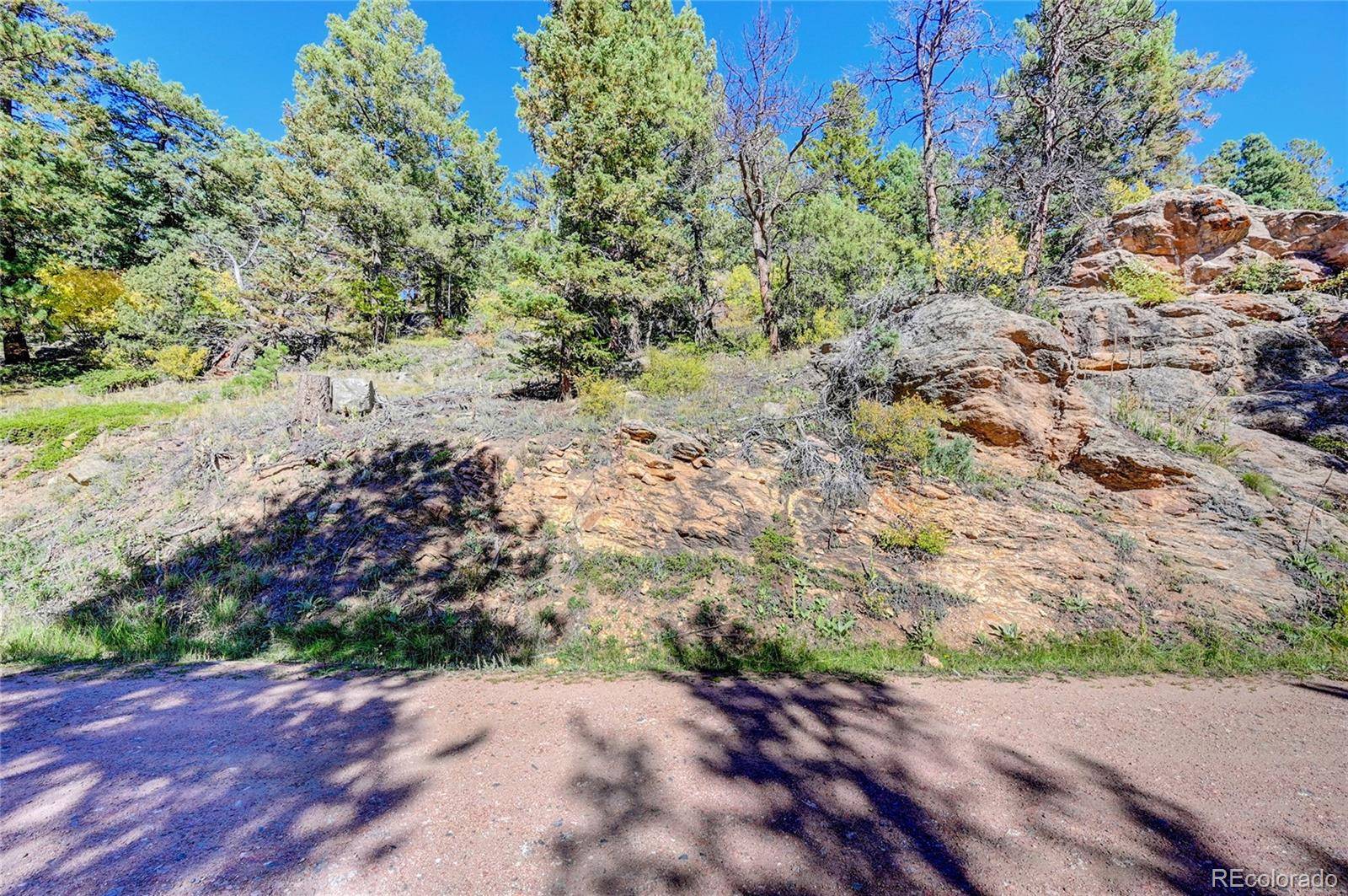 11723 Braun WAY, Conifer, CO 80433
