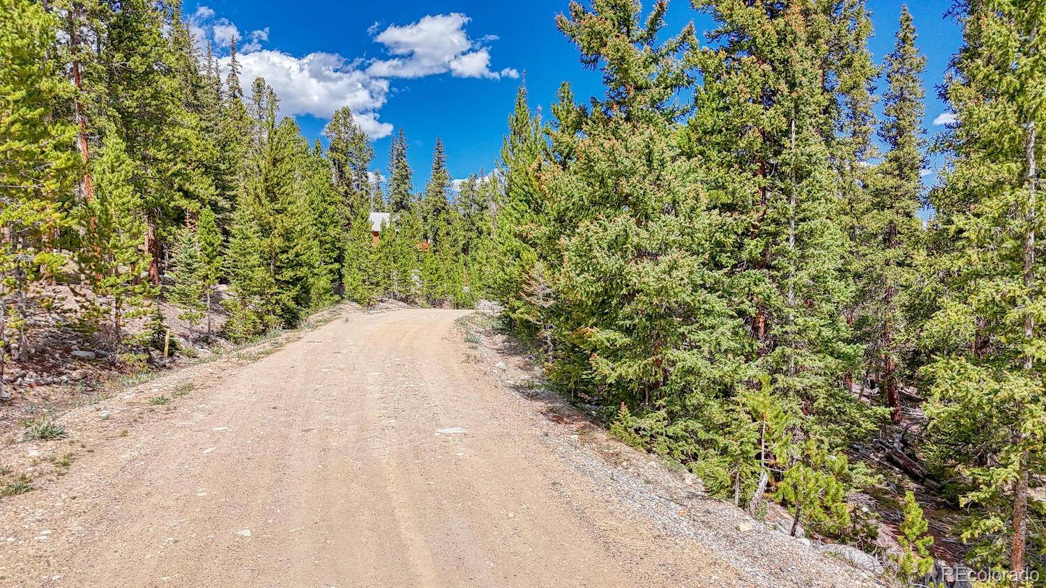 126 Gold Trail Cutoff, Fairplay, CO 80440