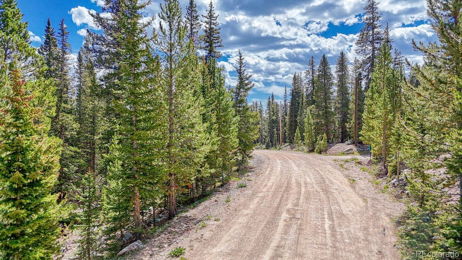 126 Gold Trail Cutoff, Fairplay, CO 80440