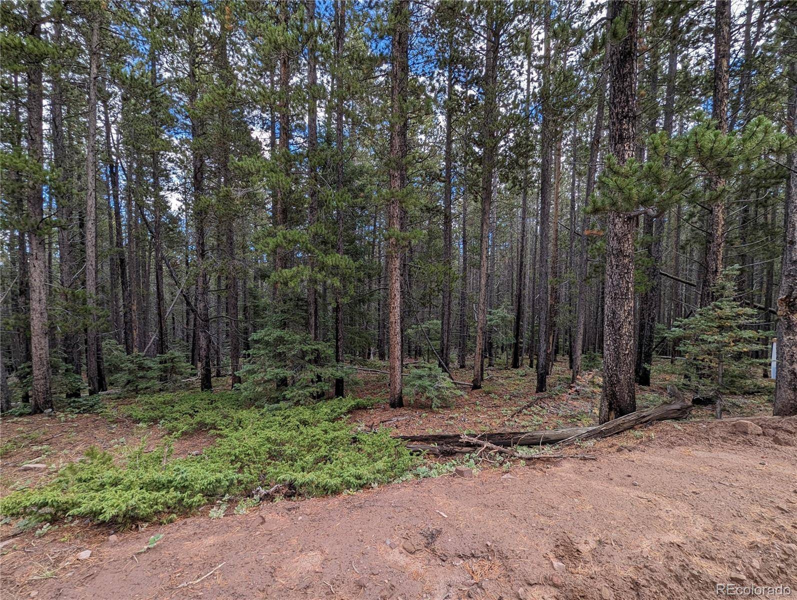 3022 Bolwell LN, Fort Garland, CO 81133