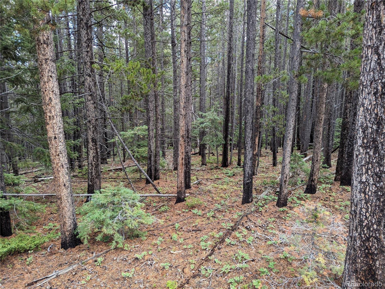 3022 Bolwell LN, Fort Garland, CO 81133