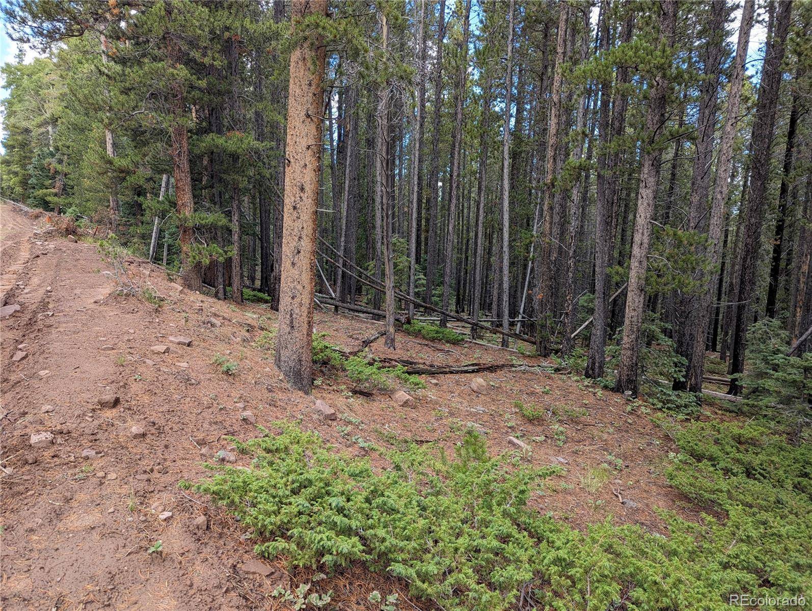 3022 Bolwell LN, Fort Garland, CO 81133