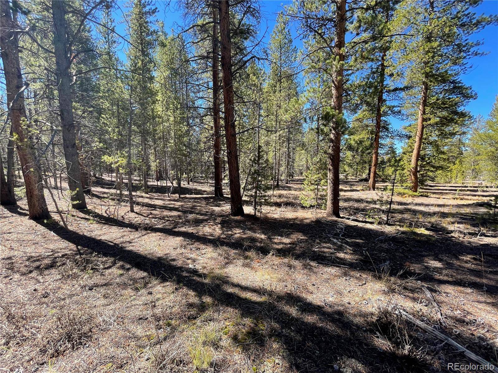 251 Virginia AVE, Leadville, CO 80461