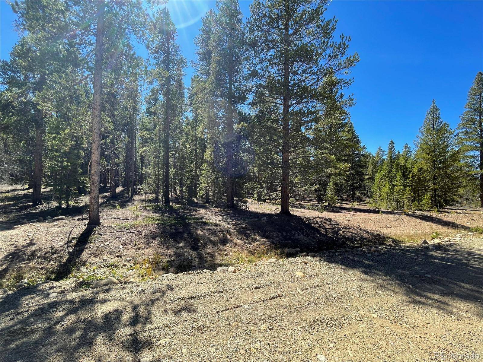 251 Virginia AVE, Leadville, CO 80461
