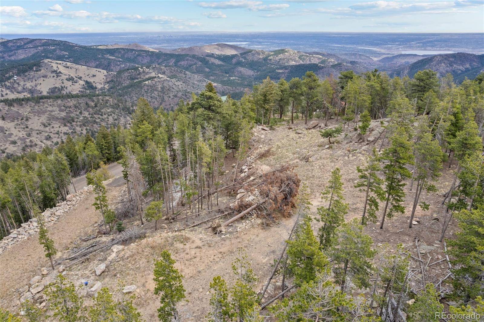 10157 Horizon View DR, Morrison, CO 80465