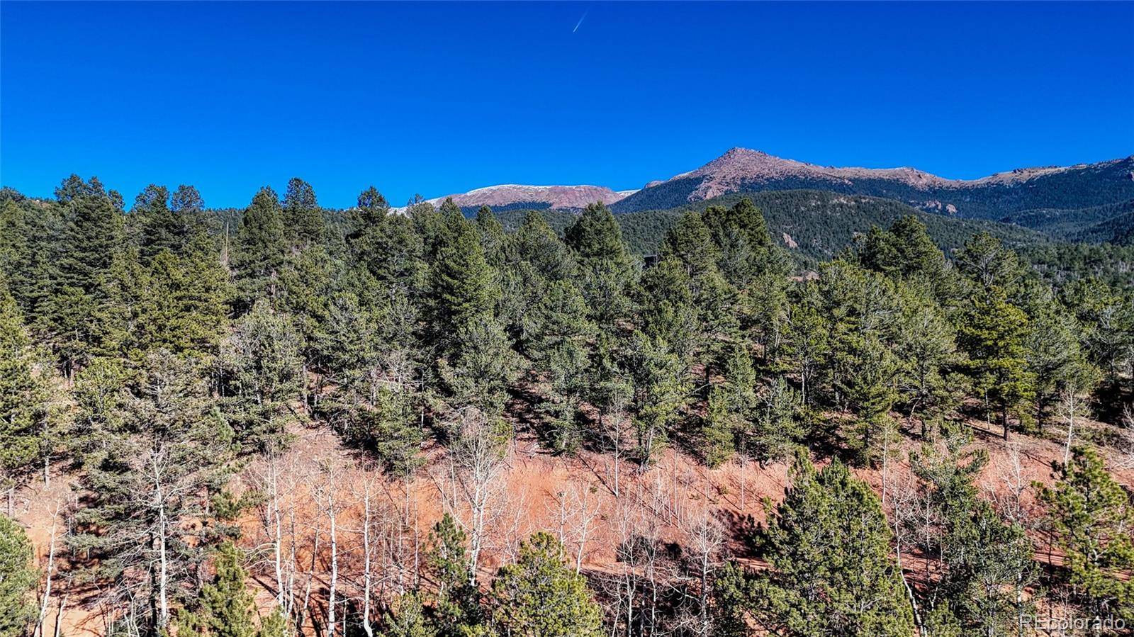 80 Beaver Pond RD, Divide, CO 80814