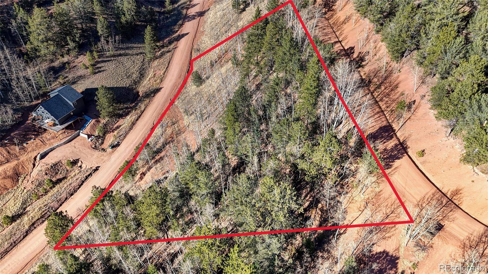 80 Beaver Pond RD, Divide, CO 80814