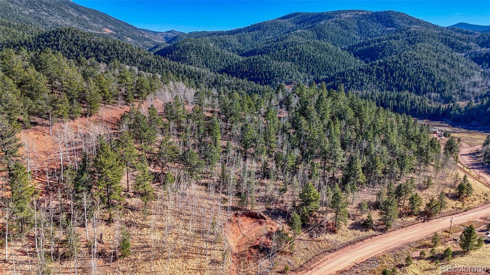 80 Beaver Pond RD, Divide, CO 80814