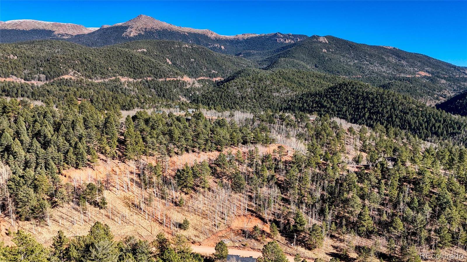 80 Beaver Pond RD, Divide, CO 80814
