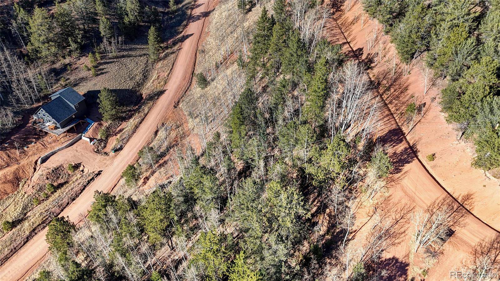 80 Beaver Pond RD, Divide, CO 80814