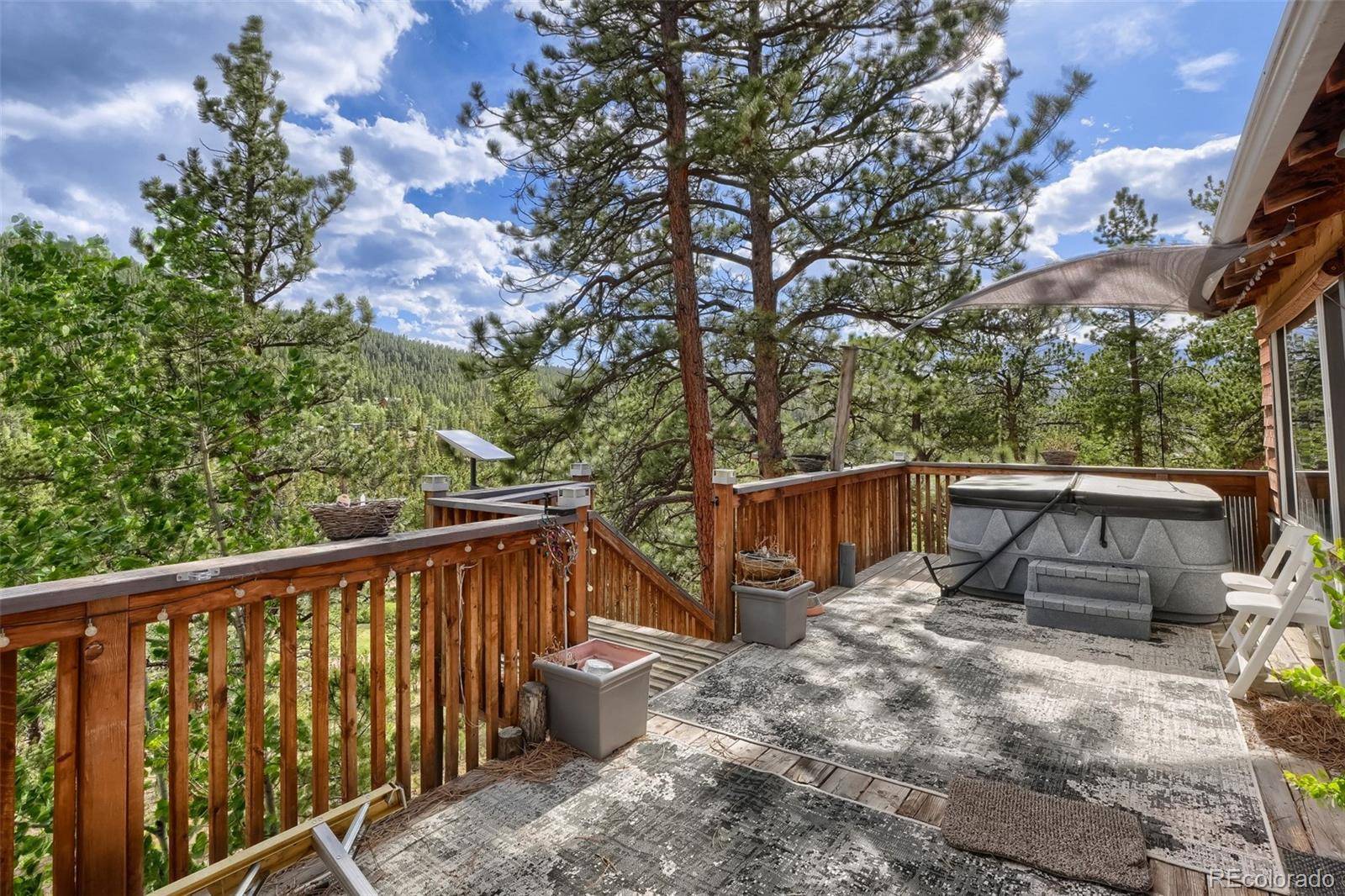 226 Hall RD, Bailey, CO 80421