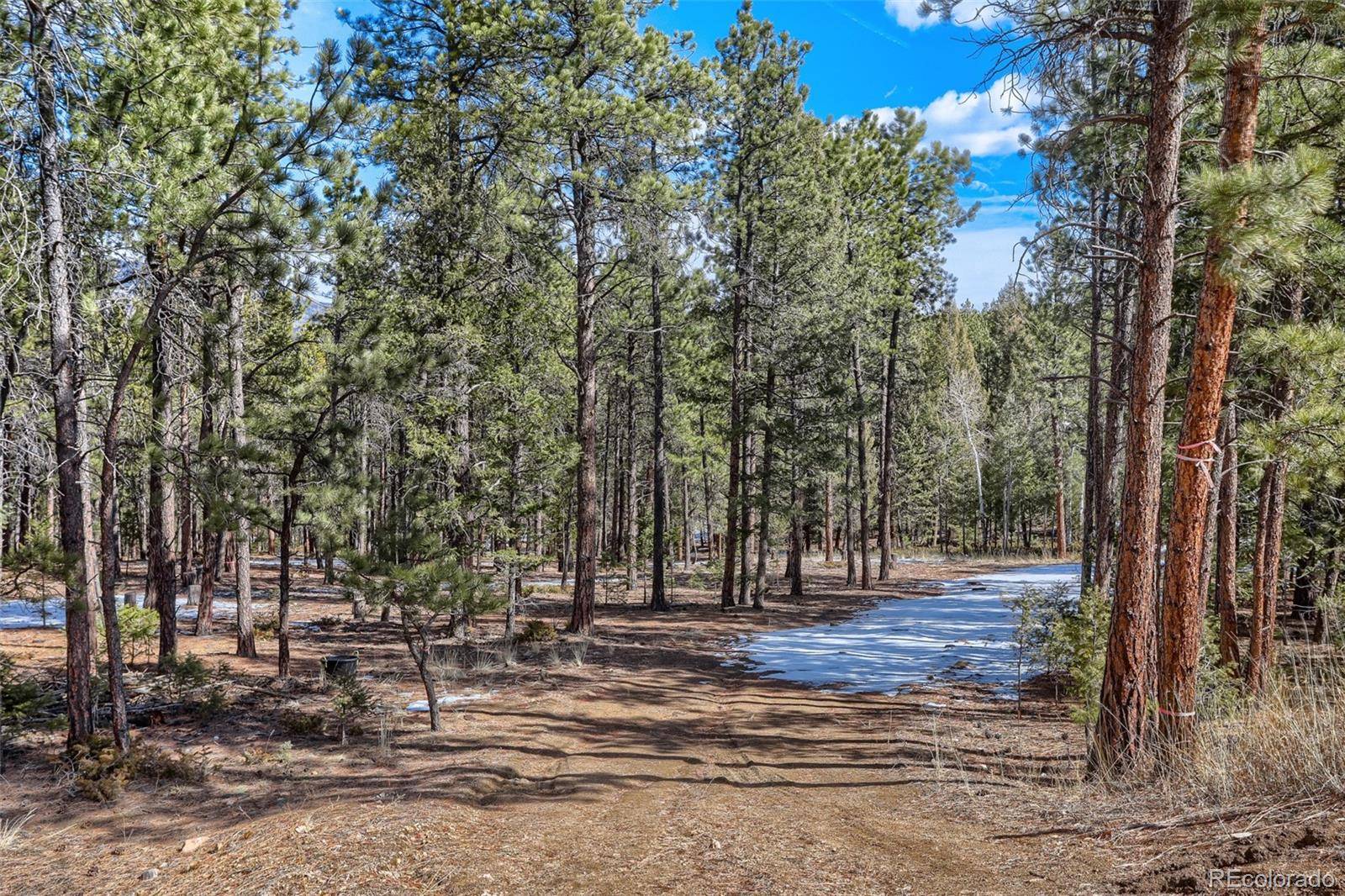 249 Territory DR, Pine, CO 80470