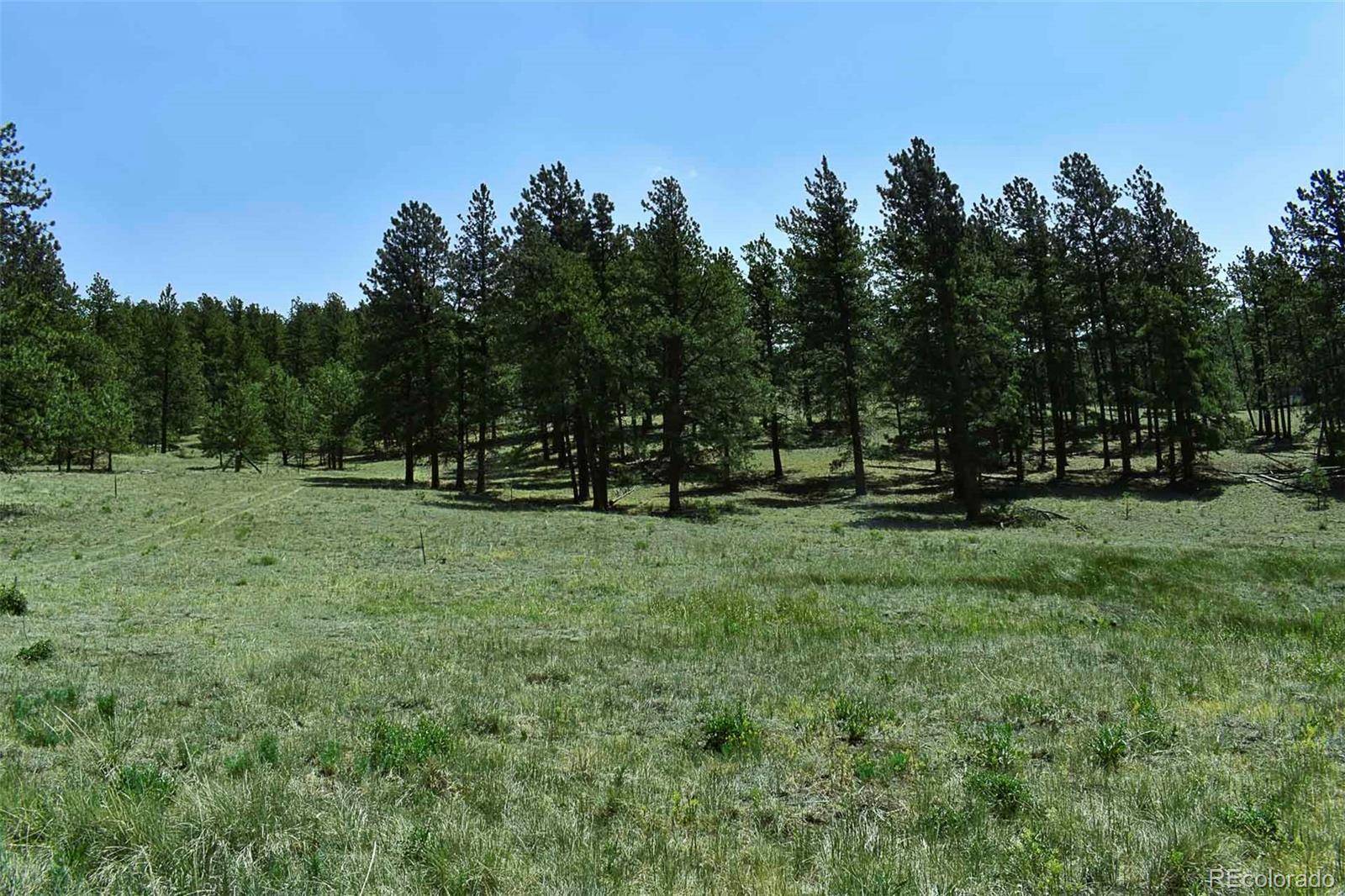 000 6th ST, Guffey, CO 80820