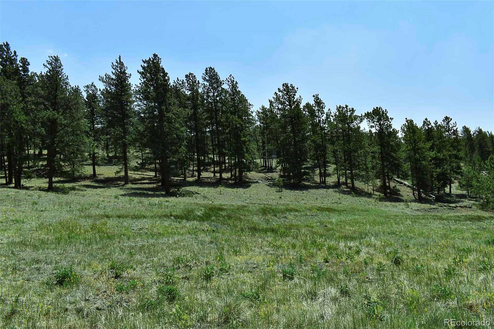 000 6th ST, Guffey, CO 80820