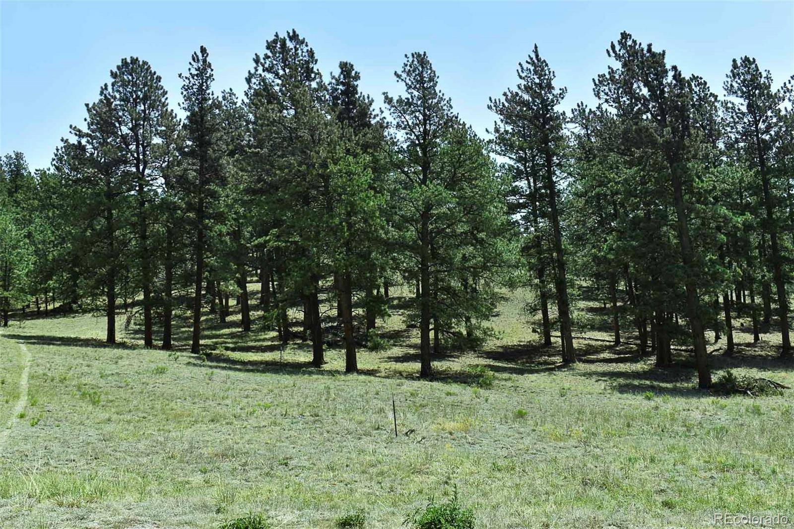 000 6th ST, Guffey, CO 80820