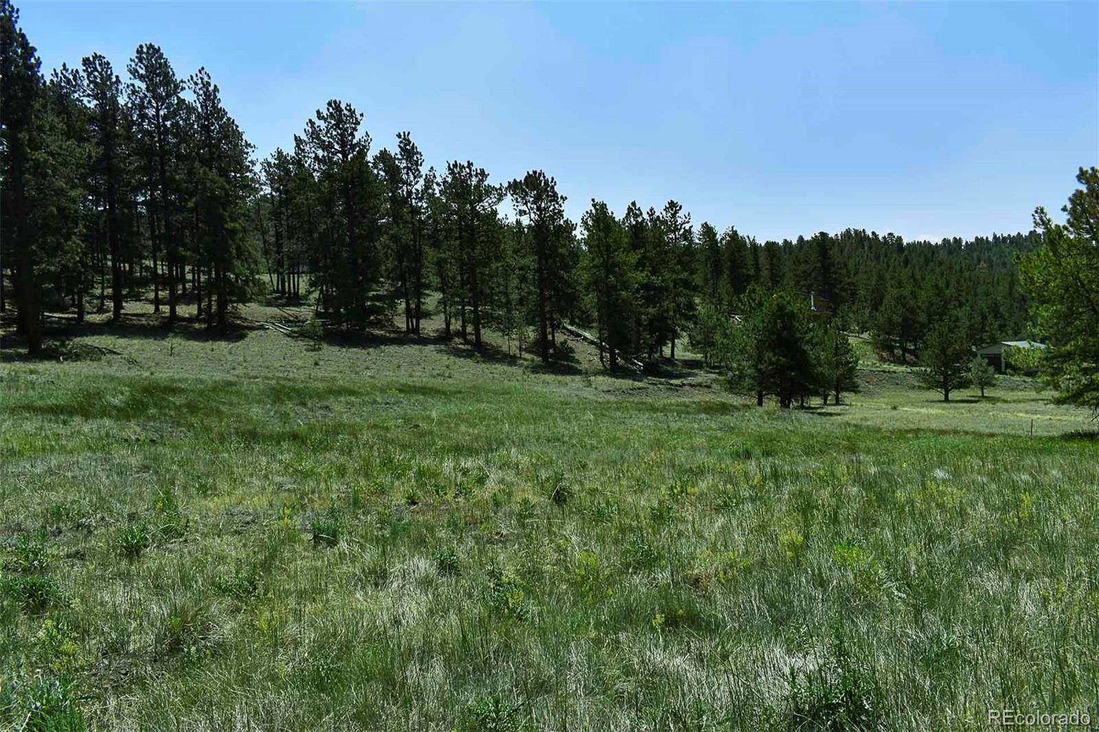 000 6th ST, Guffey, CO 80820