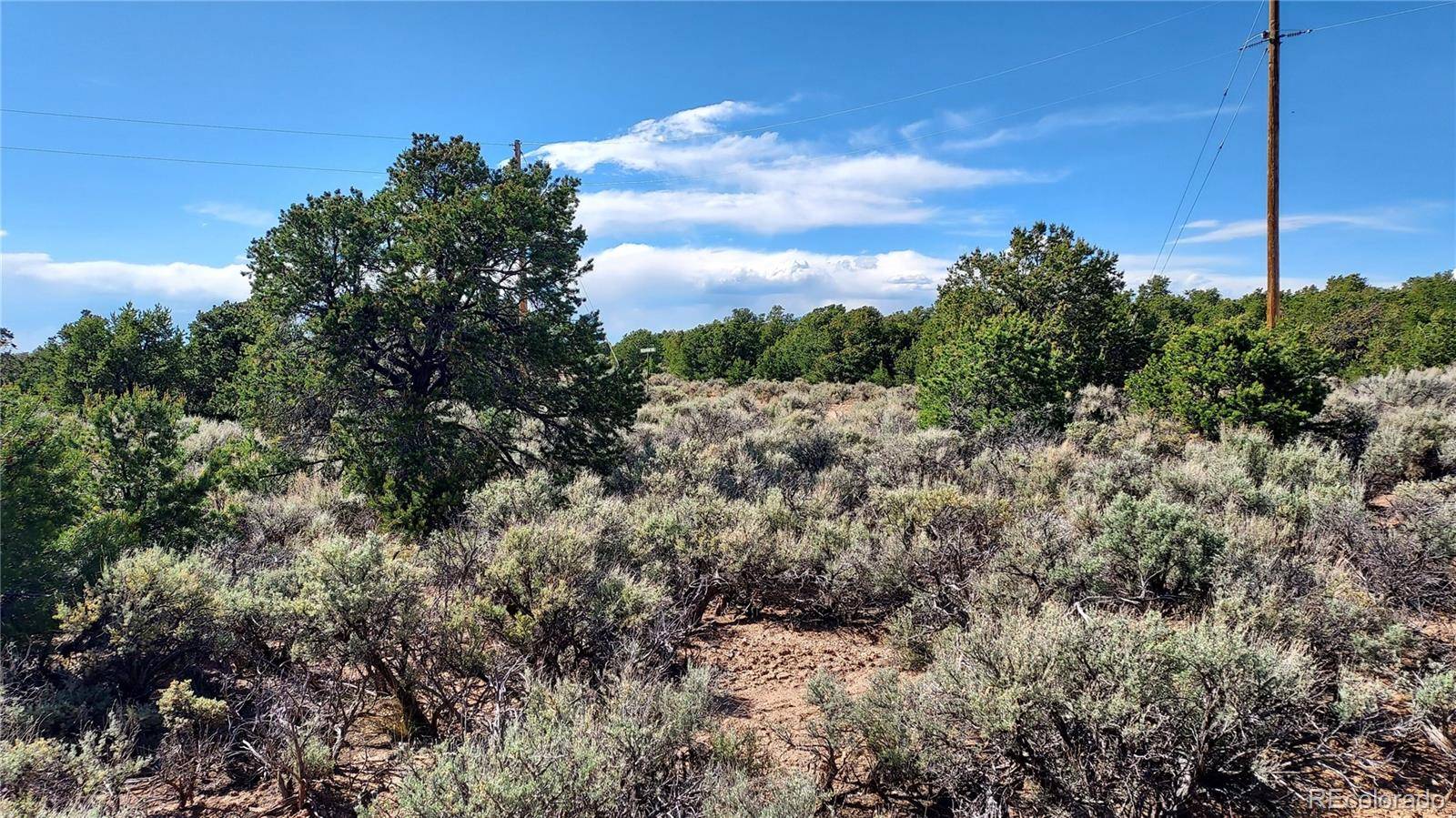 Stevenson, San Luis, CO 81152