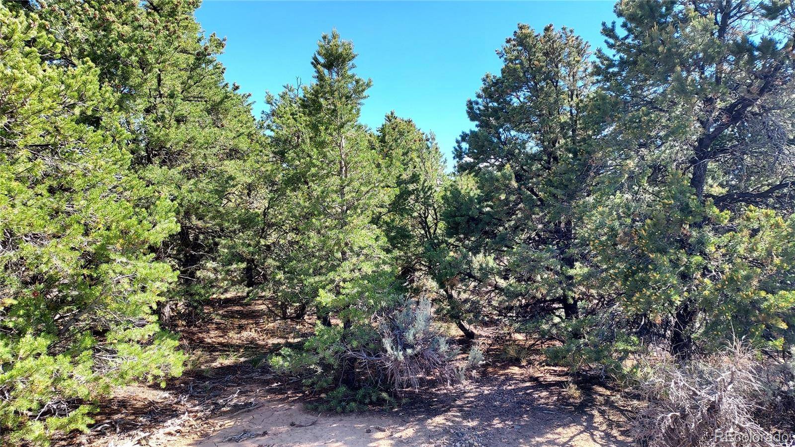 Stevenson, San Luis, CO 81152