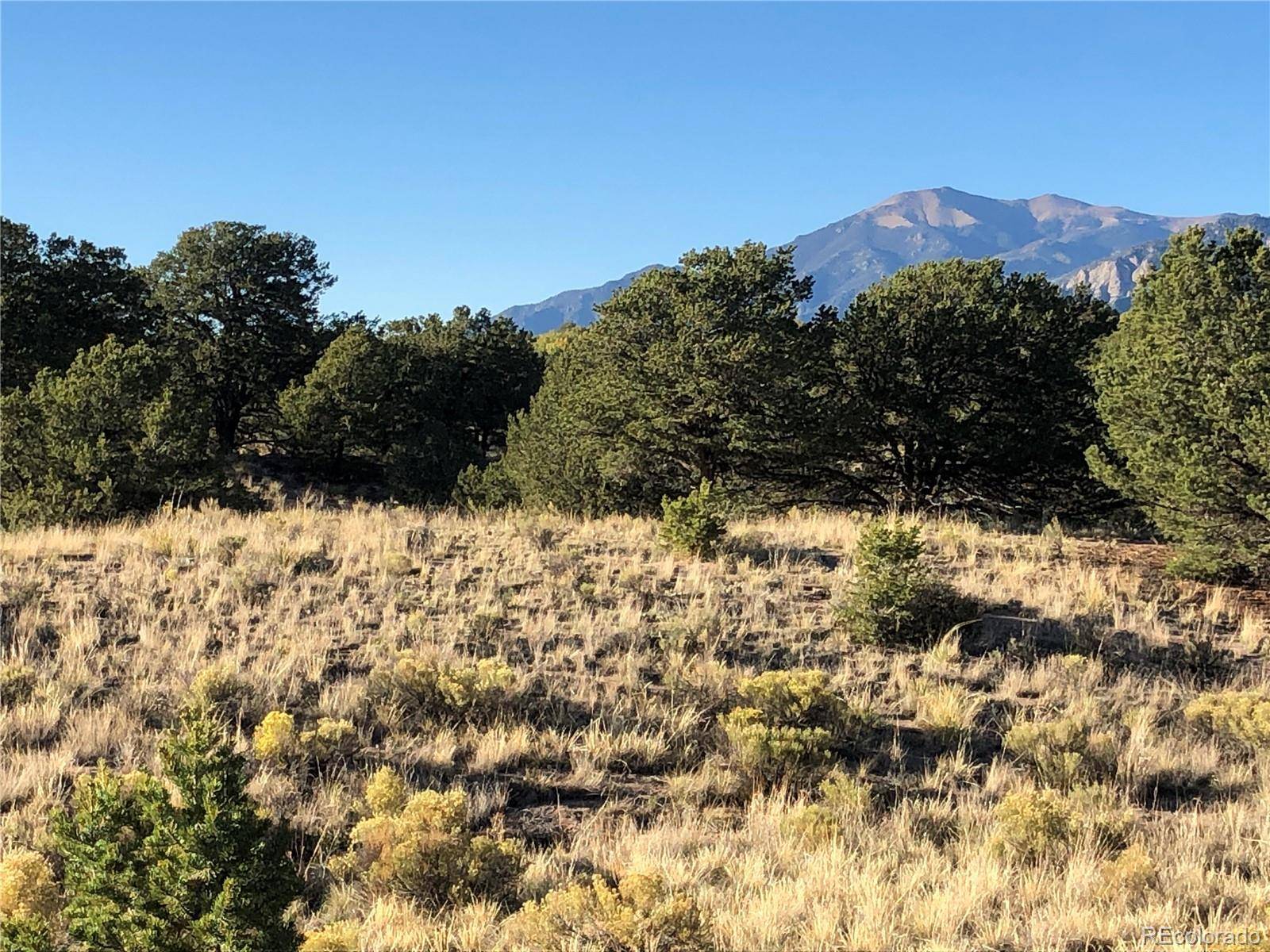 4480 Ridgecrest WAY, Crestone, CO 81131
