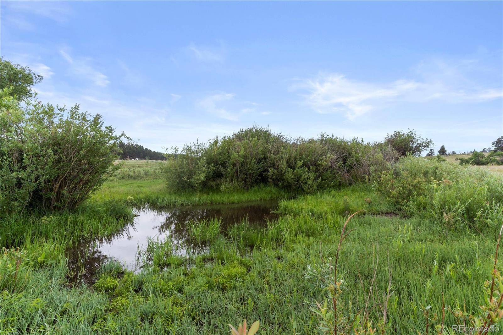 E Cherry Creek RD, Larkspur, CO 80118