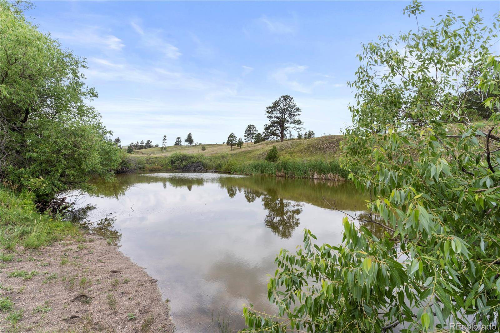 E Cherry Creek RD, Larkspur, CO 80118