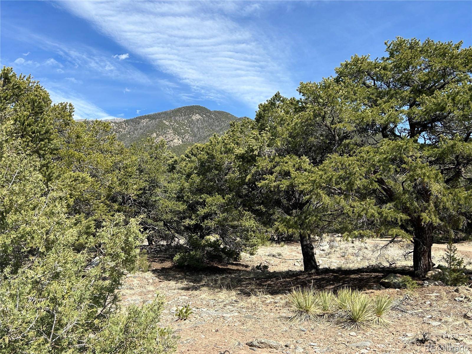 3545 Fallen Tree PL, Crestone, CO 81131