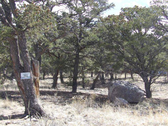 255 Baca Grant WAY, Crestone, CO 81131