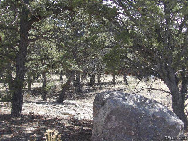 255 Baca Grant WAY, Crestone, CO 81131