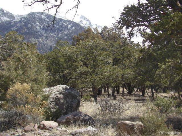 255 Baca Grant WAY, Crestone, CO 81131