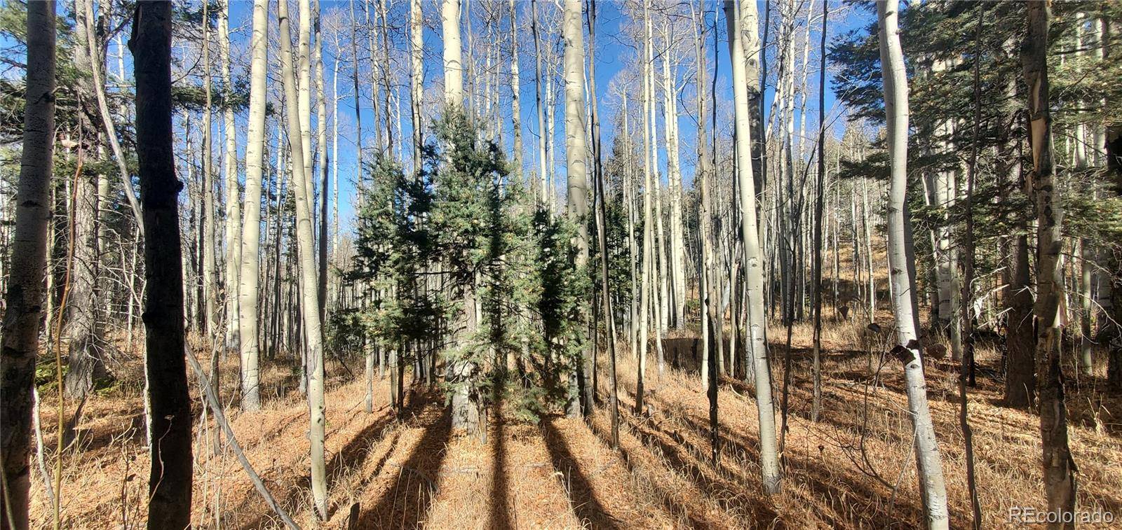 Lot 6060 Forbes RD, San Luis, CO 81152
