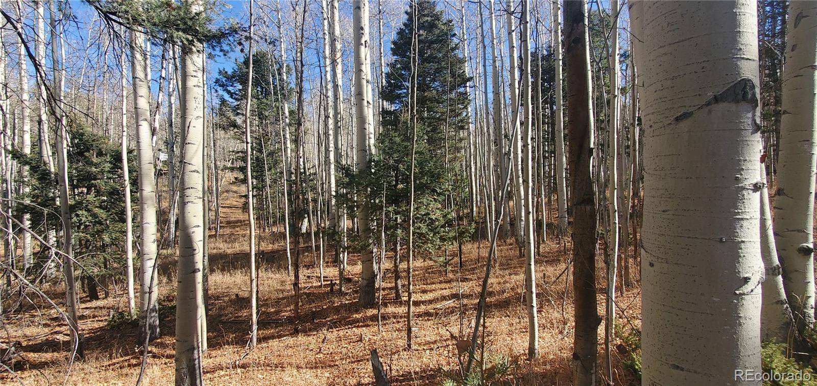 Lot 6060 Forbes RD, San Luis, CO 81152