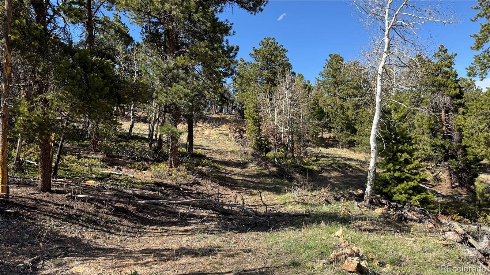 005 Church Placer RD, Central City, CO 80427