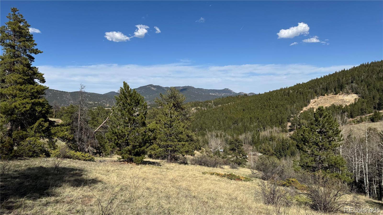 005 Church Placer RD, Central City, CO 80427