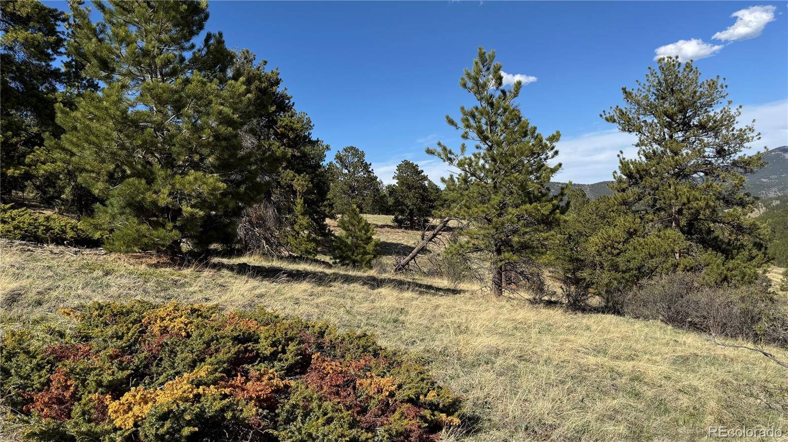 005 Church Placer RD, Central City, CO 80427