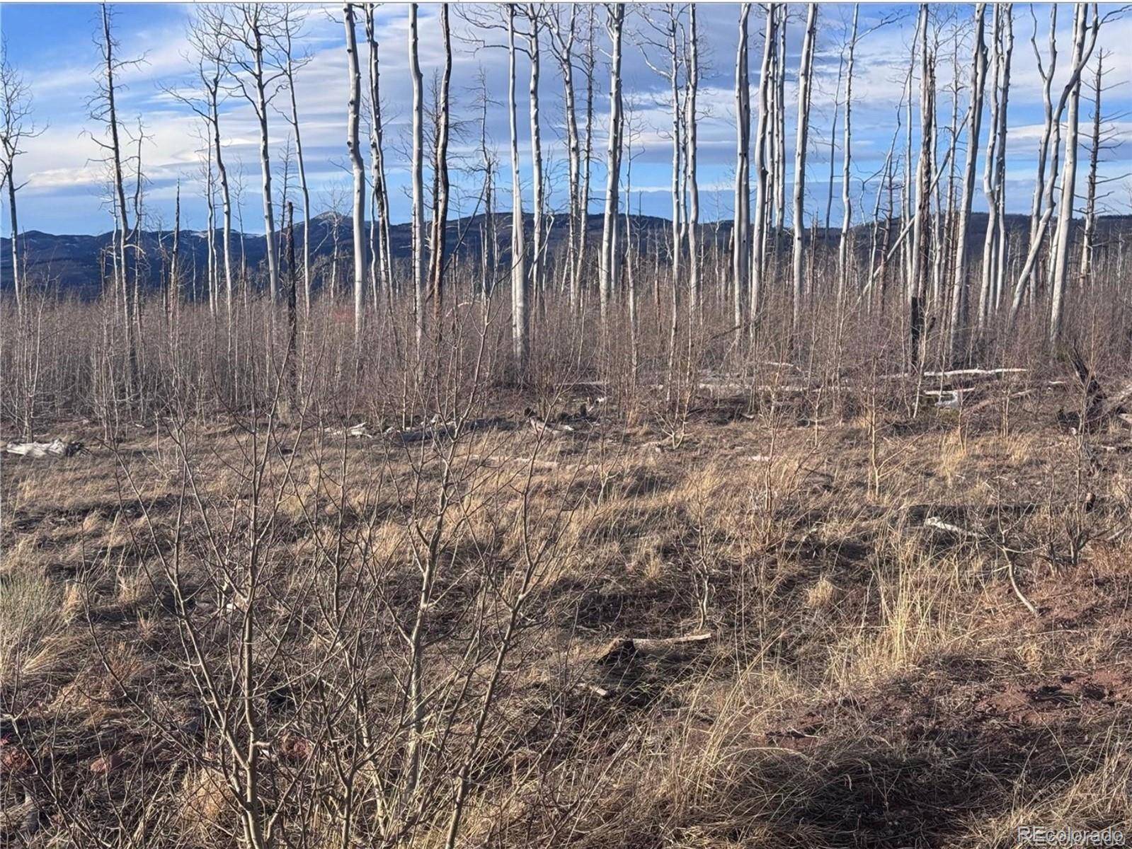 1290 Clayton RD, Fort Garland, CO 81133