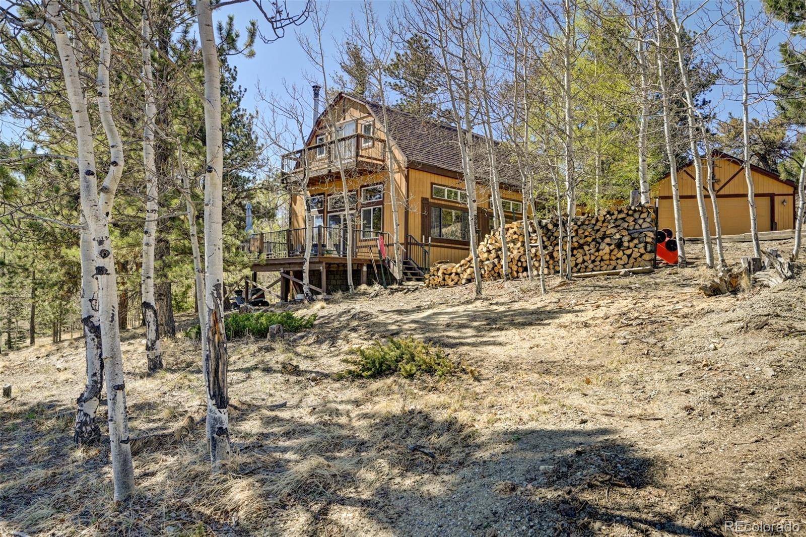 447 Blacksmith RD, Hartsel, CO 80449
