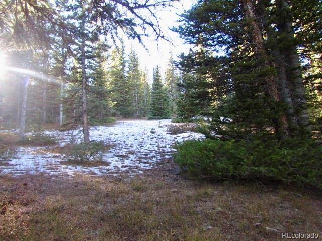 633 Valley Of The Sun DR, Fairplay, CO 80440