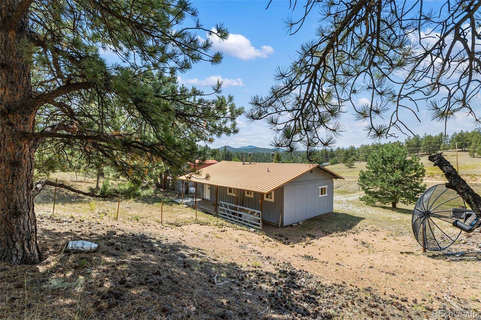272 Spring Valley TRL, Florissant, CO 80816