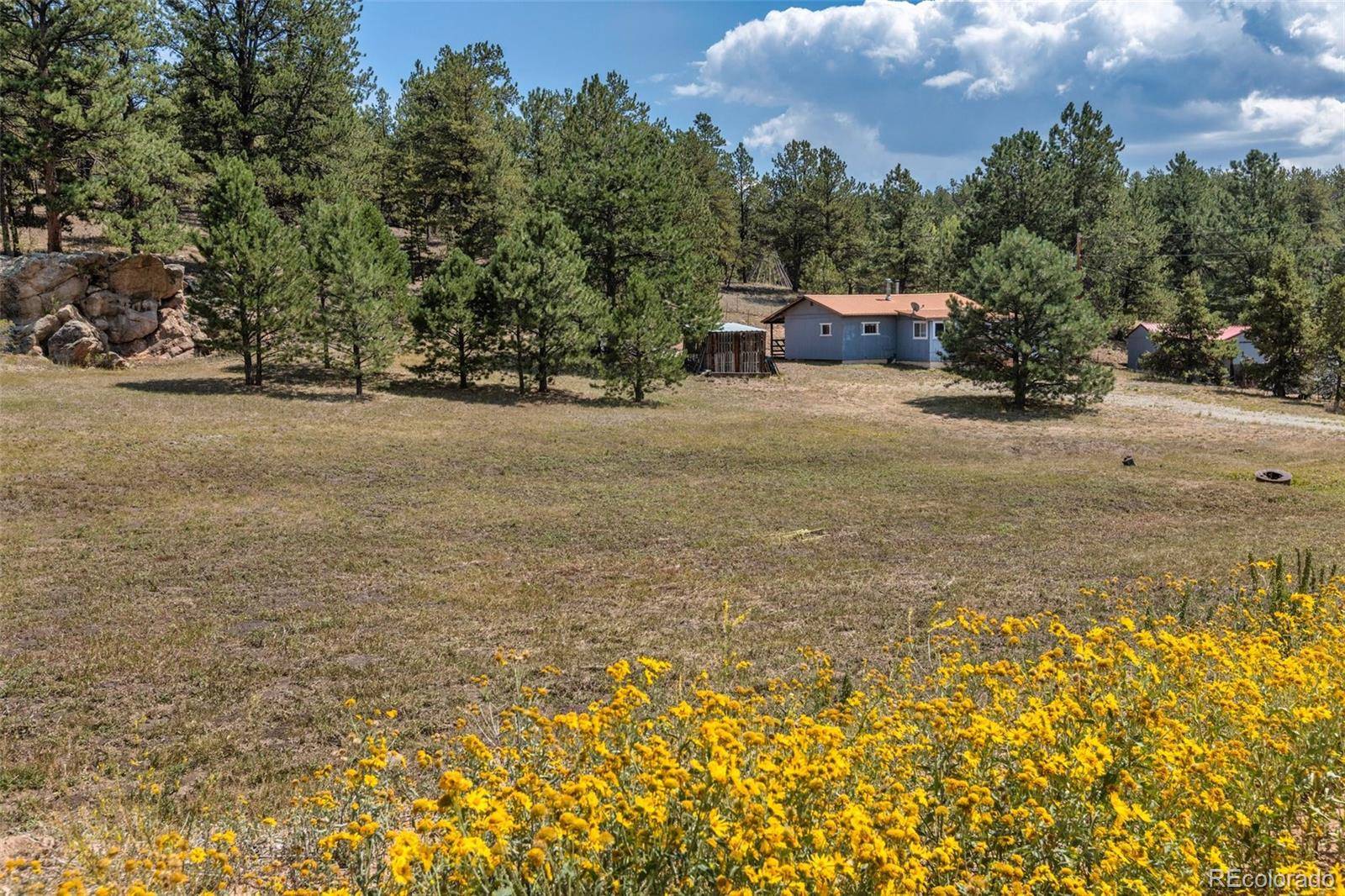 272 Spring Valley TRL, Florissant, CO 80816