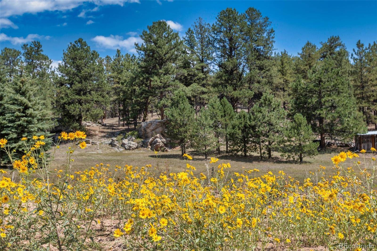 272 Spring Valley TRL, Florissant, CO 80816