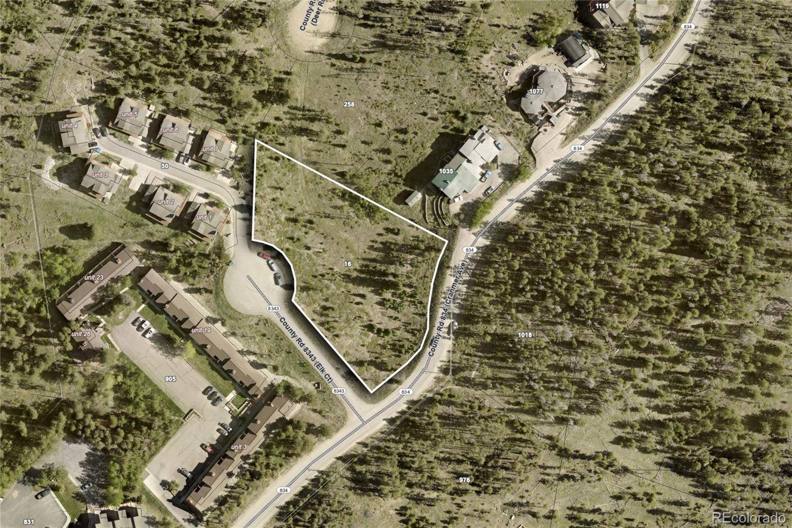 16 County Rd 8343/Elk CT, Fraser, CO 80442