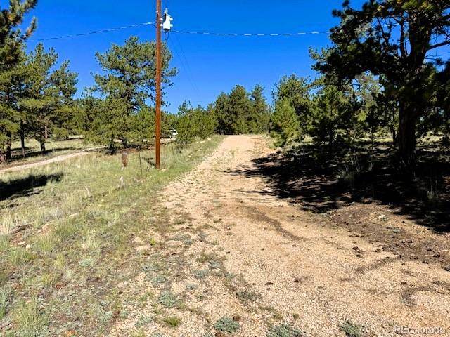 126 Zion CT, Hartsel, CO 80449