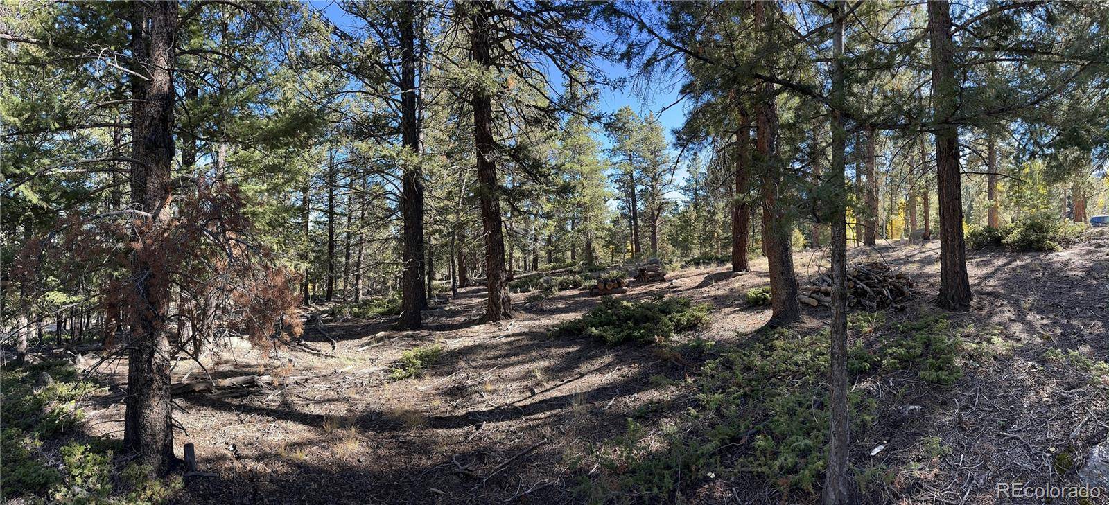 Aspen Turn, Buena Vista, CO 81211