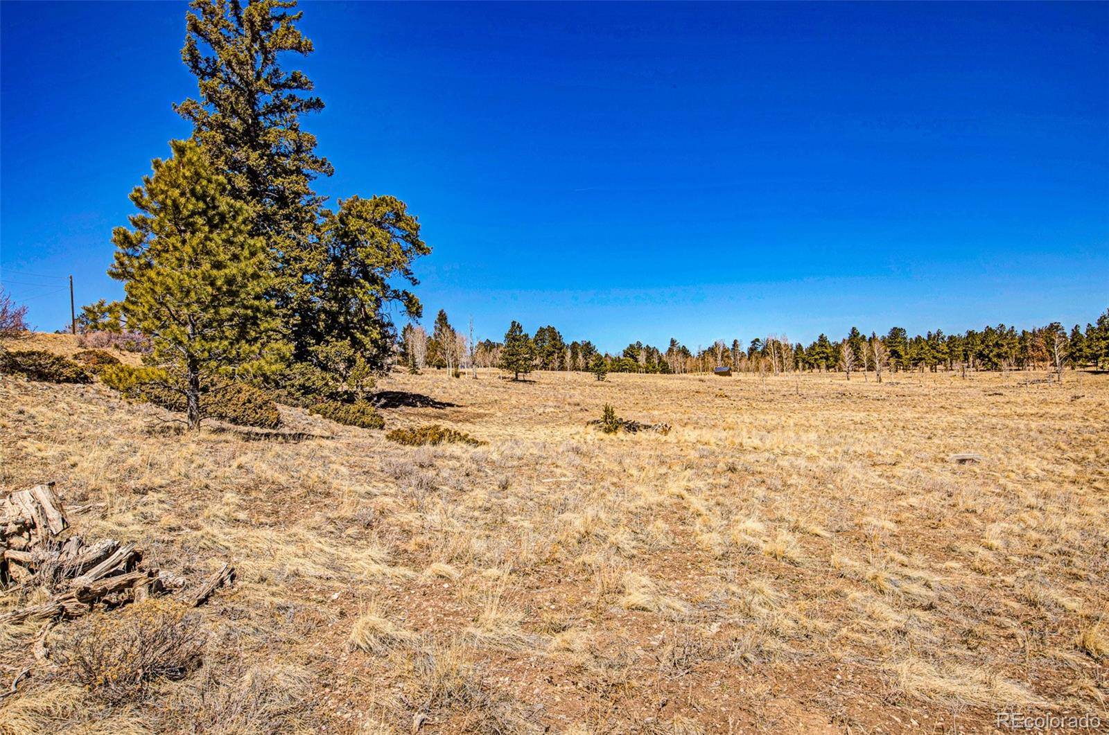 1250 Kaufman RD, Hartsel, CO 80449
