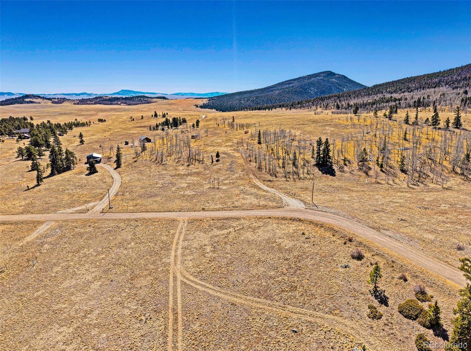 1250 Kaufman RD, Hartsel, CO 80449
