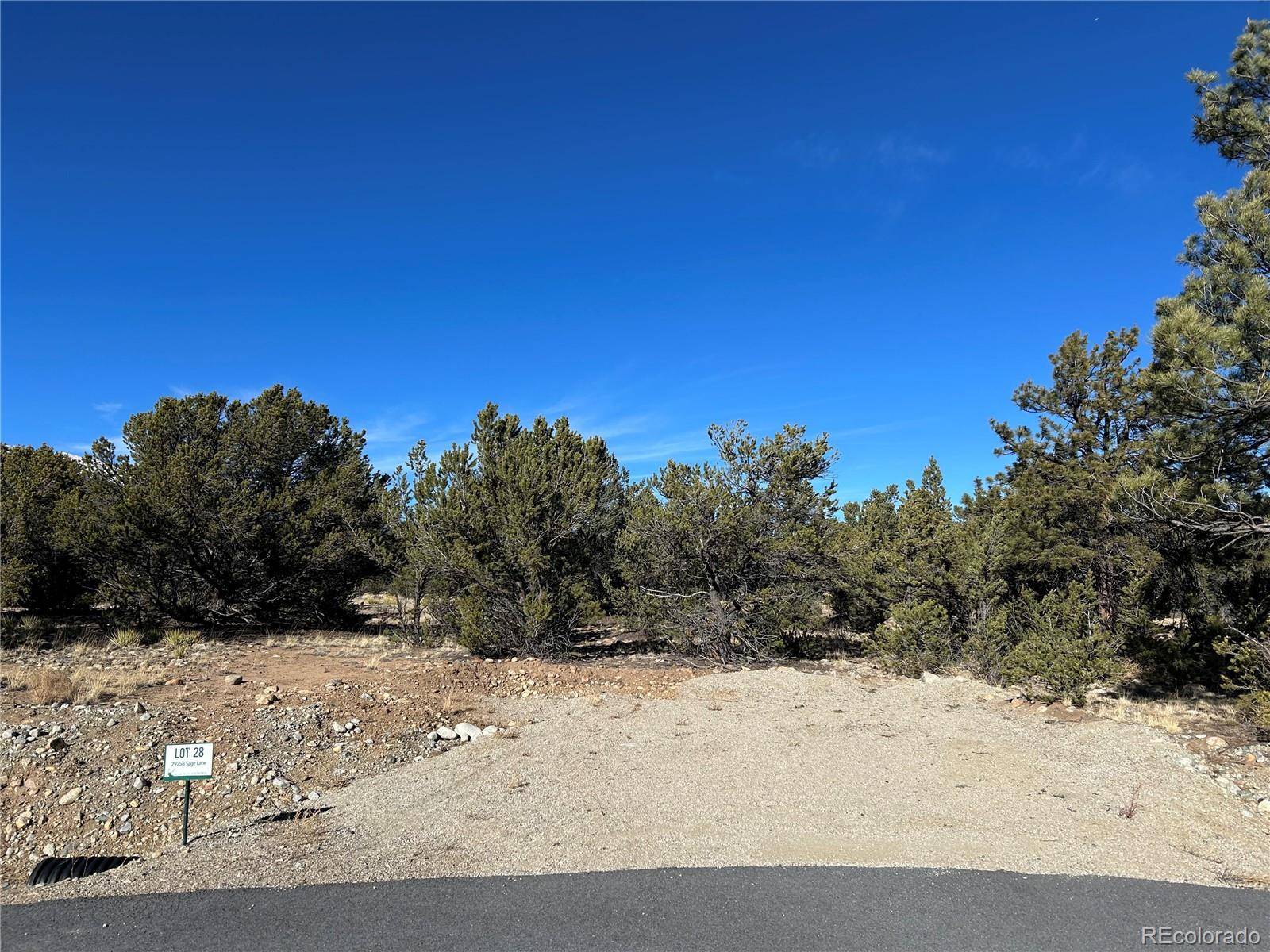 29258 Sage LN, Buena Vista, CO 81211