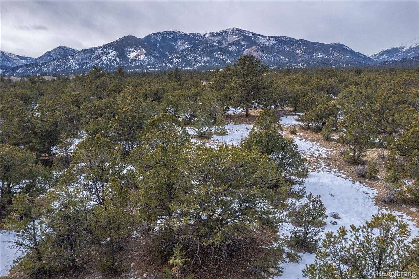 29258 Sage LN, Buena Vista, CO 81211